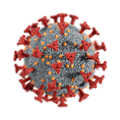 NORO VIRUS