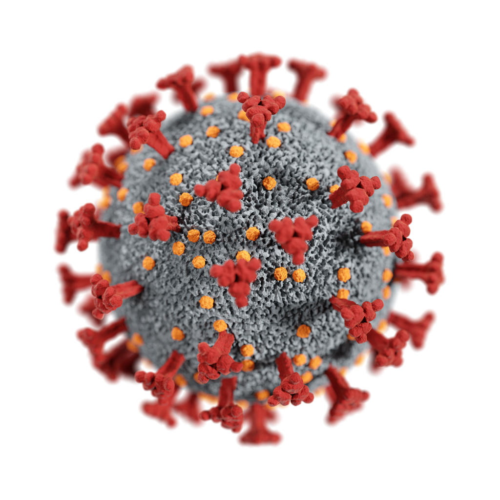 NOROVIRUS